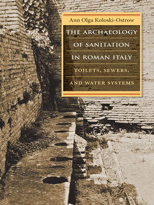 cover image of The Archaeology of Sanitation in Roman Italy